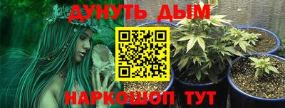 PSILOCYBIN Берёзовский