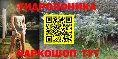 PSILOCYBIN Берёзовский