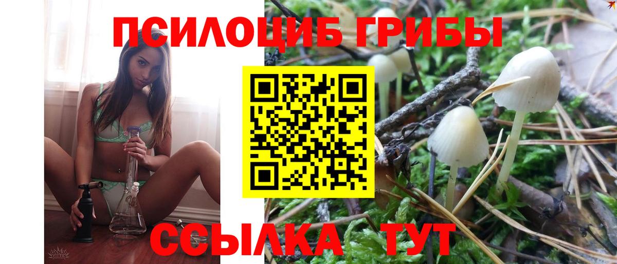 Галлюциногенные грибы ЛСД  Вход с VPN  Галлюциногенные грибы Psilocybine cubensis  Ковров 